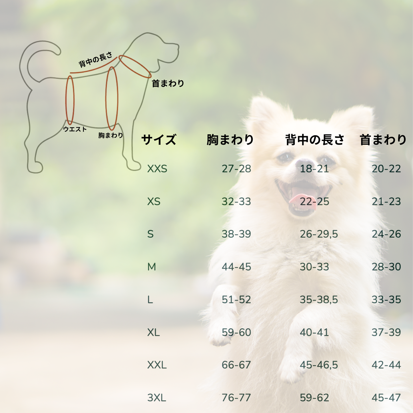 犬用クリスマス服・犬用ドレス