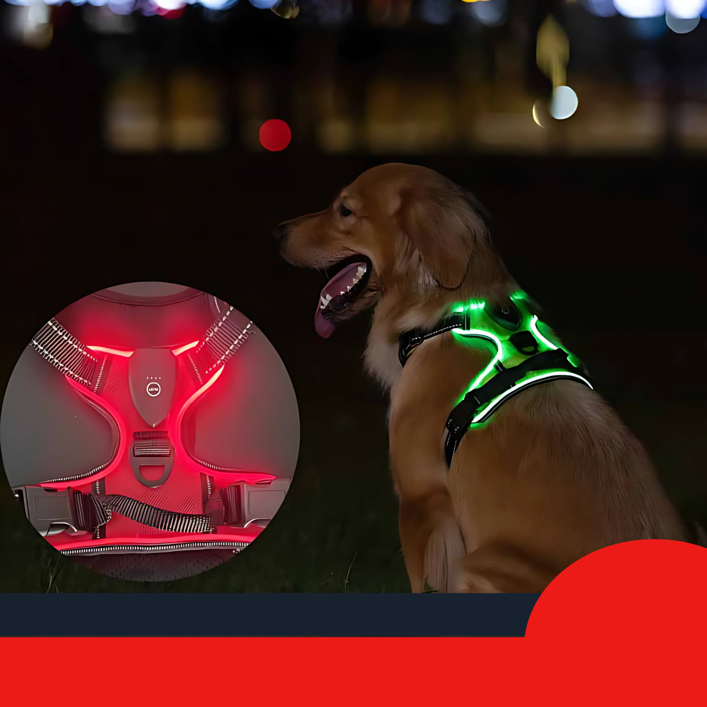 犬用ハーネス・LED