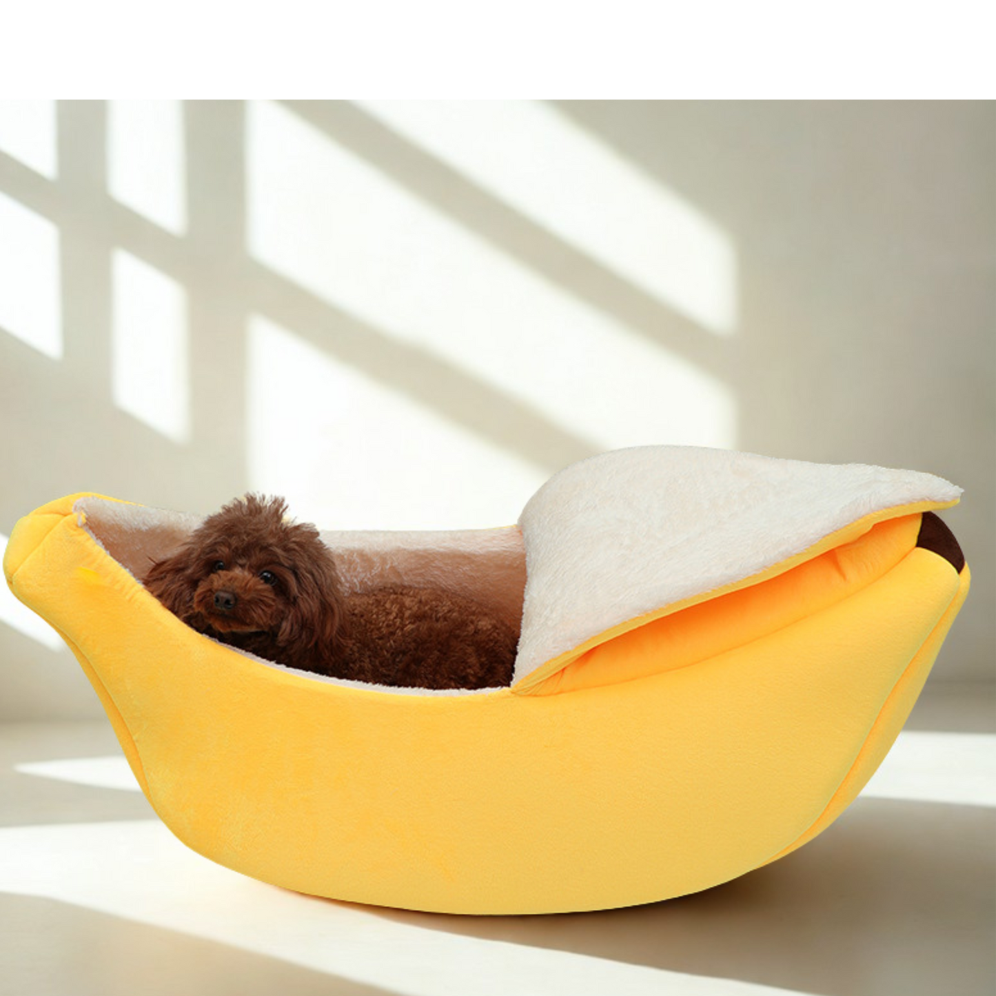 かわいいデザインでインテリアにも